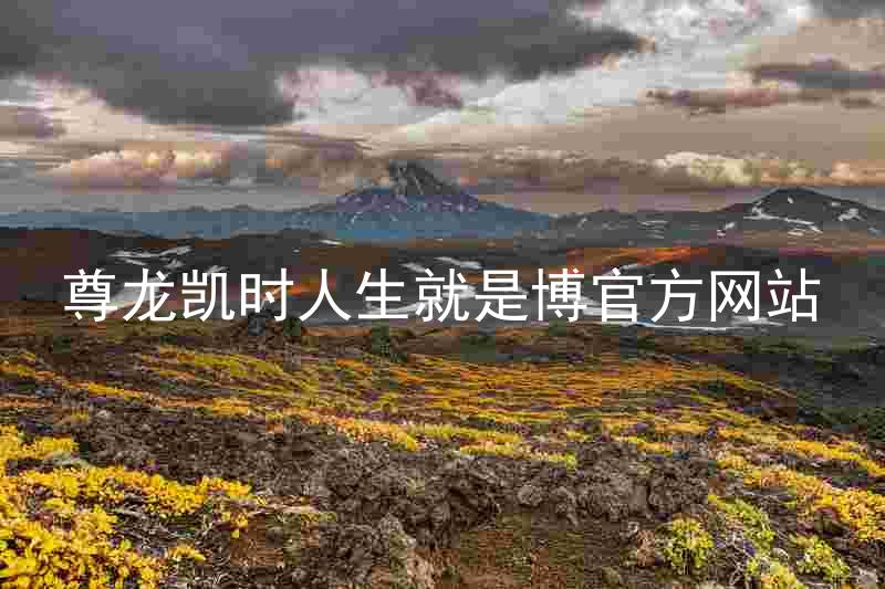 尊龙凯时人生就是博官方网站