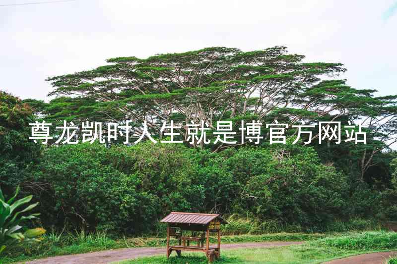 尊龙凯时人生就是博官方网站